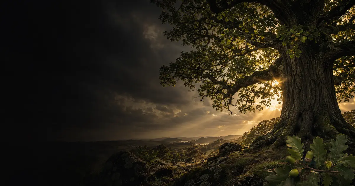 Oak (Celtic zodiac): personality, love & career