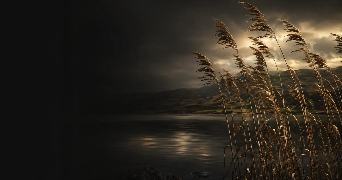 Reed (Celtic zodiac): personality, love & career